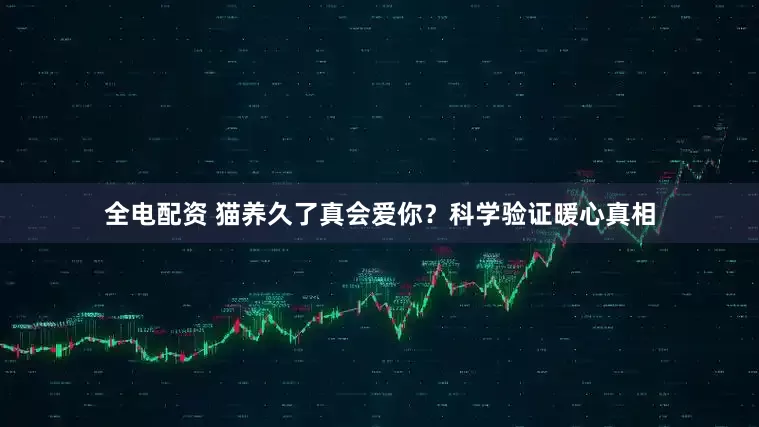 全电配资 猫养久了真会爱你？科学验证暖心真相