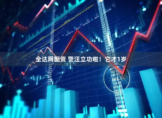 全达网配资 警汪立功啦！它才1岁
