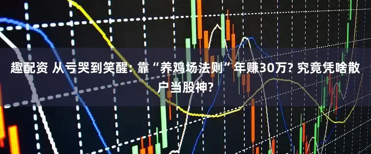 趣配资 从亏哭到笑醒: 靠“养鸡场法则”年赚30万? 究竟凭啥散户当股神?